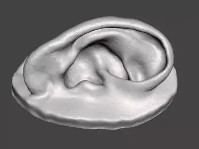 Real human ear anatomy 3D print model