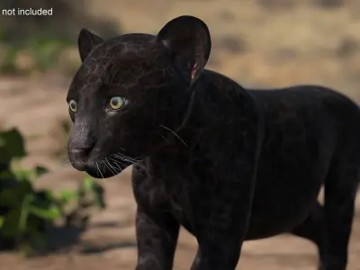 Panther Cub Wary Pose 3D model