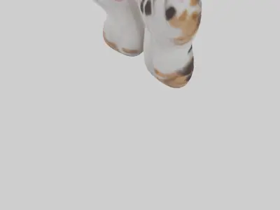 Cat Paws 3D model