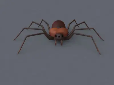 Spider 3d Model Low-poly 3D model purchase