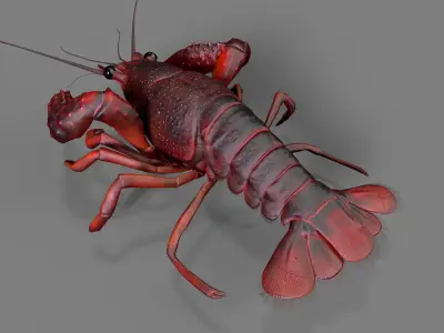 Lobster Rigged for 3Dmax Low-poly 3D model