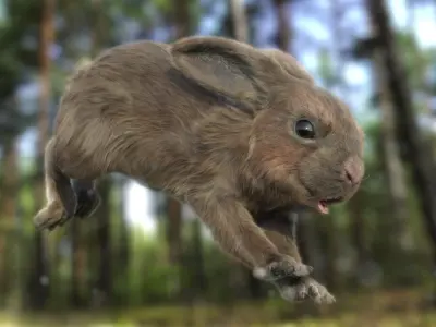 rabbit FURRIGGED 3D model