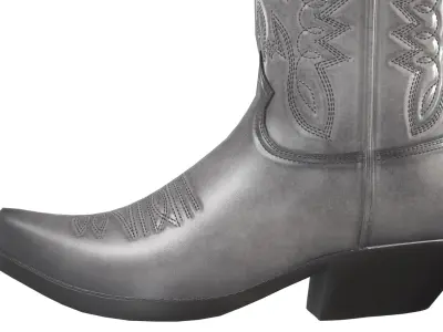 Graphite Western Boots 3D model