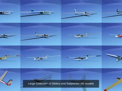 Large Collection of 60 Gliders and Sailplanes 3D Model Pack