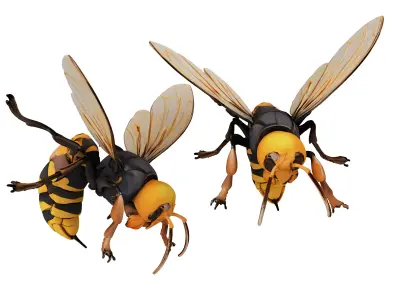 insect 3D model 2