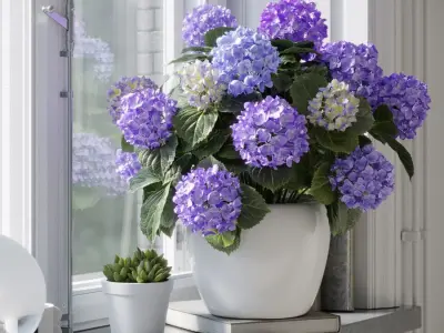  Mophead Hydrangea Plant Model, Purple  purchase
