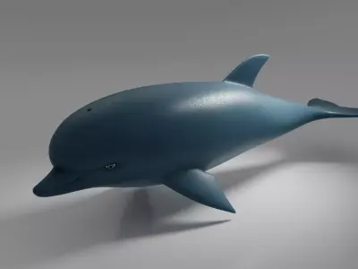 Dolphin 3D model 3