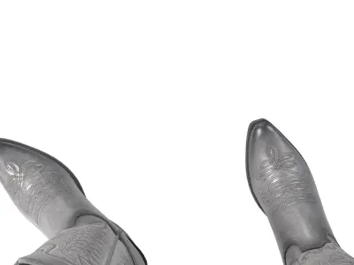 Graphite Western Boots 3D model