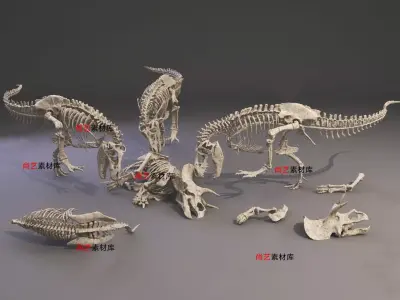 Dinosaur Fossil Workshop Collection - 3ds Max Low-poly 3D model