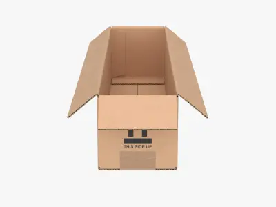 Cardboard Box 50x10x10 Open 3D model