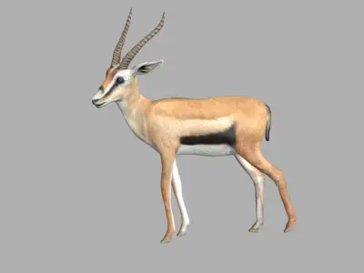 Gazelle with long horns Low-poly 3D model