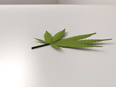 Cannabis Leaf 3D model