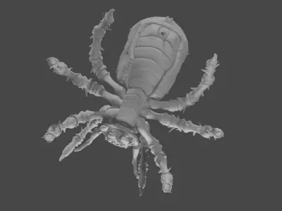 Spider 3D model 32
