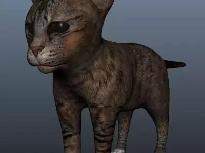 Kitten Model cat Low-poly 3D model