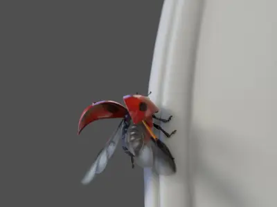 Ladybug (Animated) (V-Ray Fur) 3D model