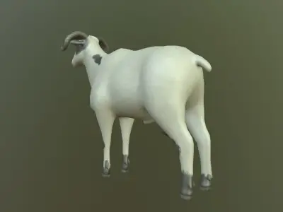 Sheep with long horns 3D model