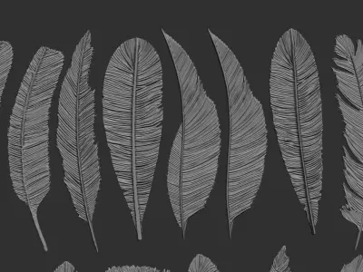 26  Feathers 3D model