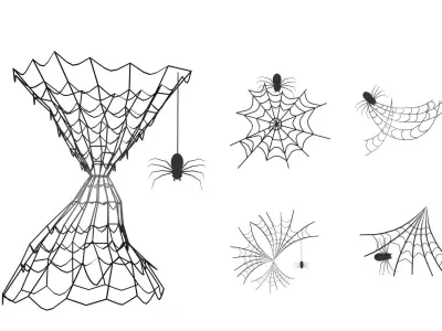 Spider Web 3D model purchase