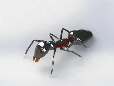 ANT Free 3D model