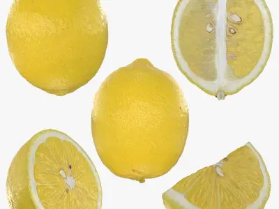 Lemon Collection 3D model