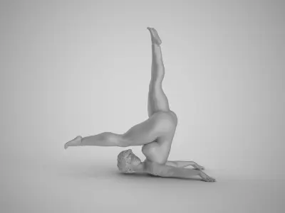 Flexibility at Midday 3D print model