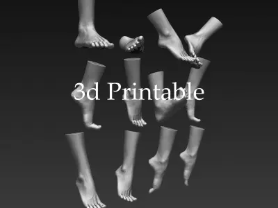 12 Female Feet 3D model