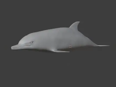 Dolphin Animated Old Low-poly 3D model