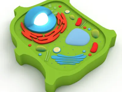 Plant Cell v4 3D model