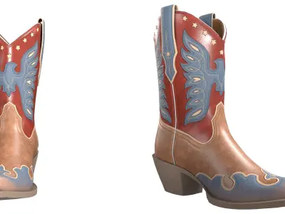 Eagle Star Cowboy Boots 3D model