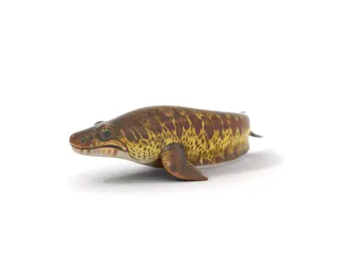 Spotted Aquatic Creature model pack Low-poly 3D model