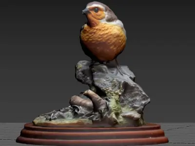 Robin Decoration 3D model