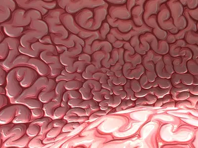 Brain 3D model buy