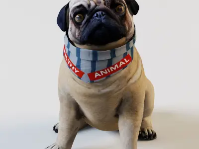 PUG - Dog 3D model