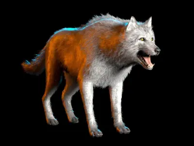 Realistic Wolf Low-poly 3D model