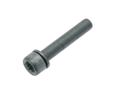 nuts and screws 3D model