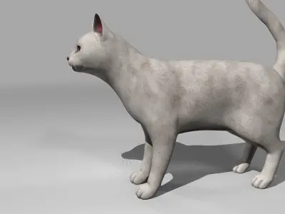 White Cat Rigged Low-poly 3D model