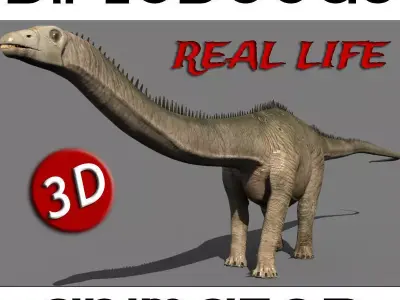 Real Life Diplodocus Dinosaur - Animated 3d model 3D model