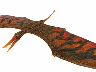 Rhamphorhynchus Low-poly 3D model