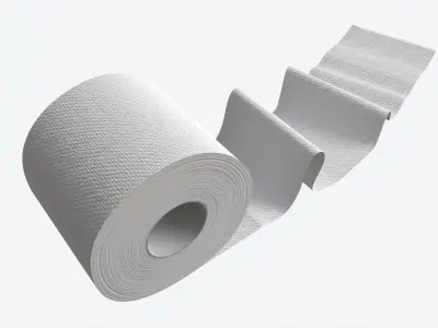 Toilet Paper Roll with Unrolled Part 3D model
