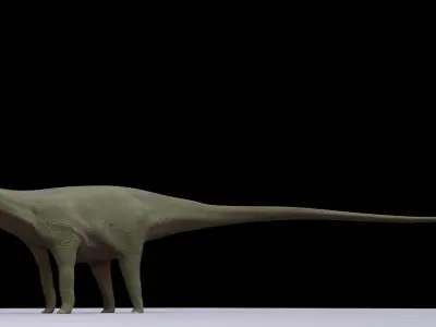Diplodocus dinosaur 3D model