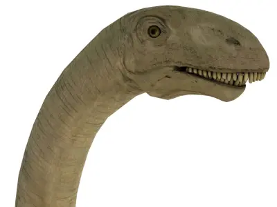 dinosaur sauropod Low-poly 3D model
