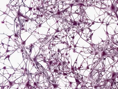 Neurons Network 3D model