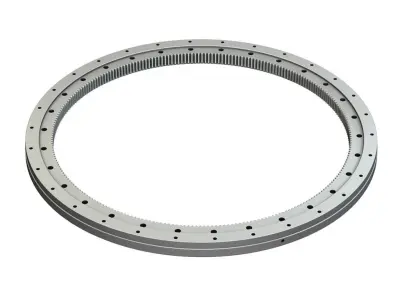 Internal Ring Gear Free 3D model