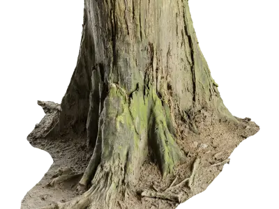  Short Cut Mossy Forest Stump Model 