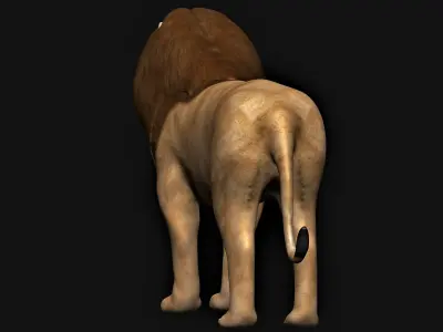 Lion low polygon 3D model