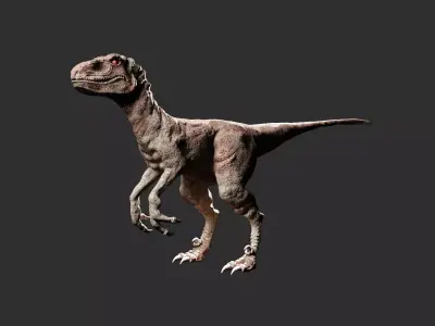 Raptor textued high poly 3D model