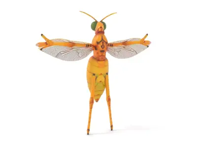 Golden Wasp model pack Low-poly 3D model