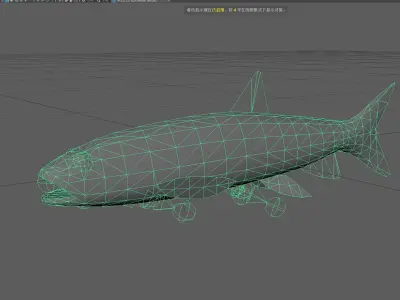 Trout Low-poly 3D model 3