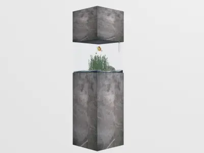 aquarium in the style of minimalism Low-poly 3D model