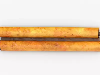 Scroll Closed With Pirate Map 02 3D model